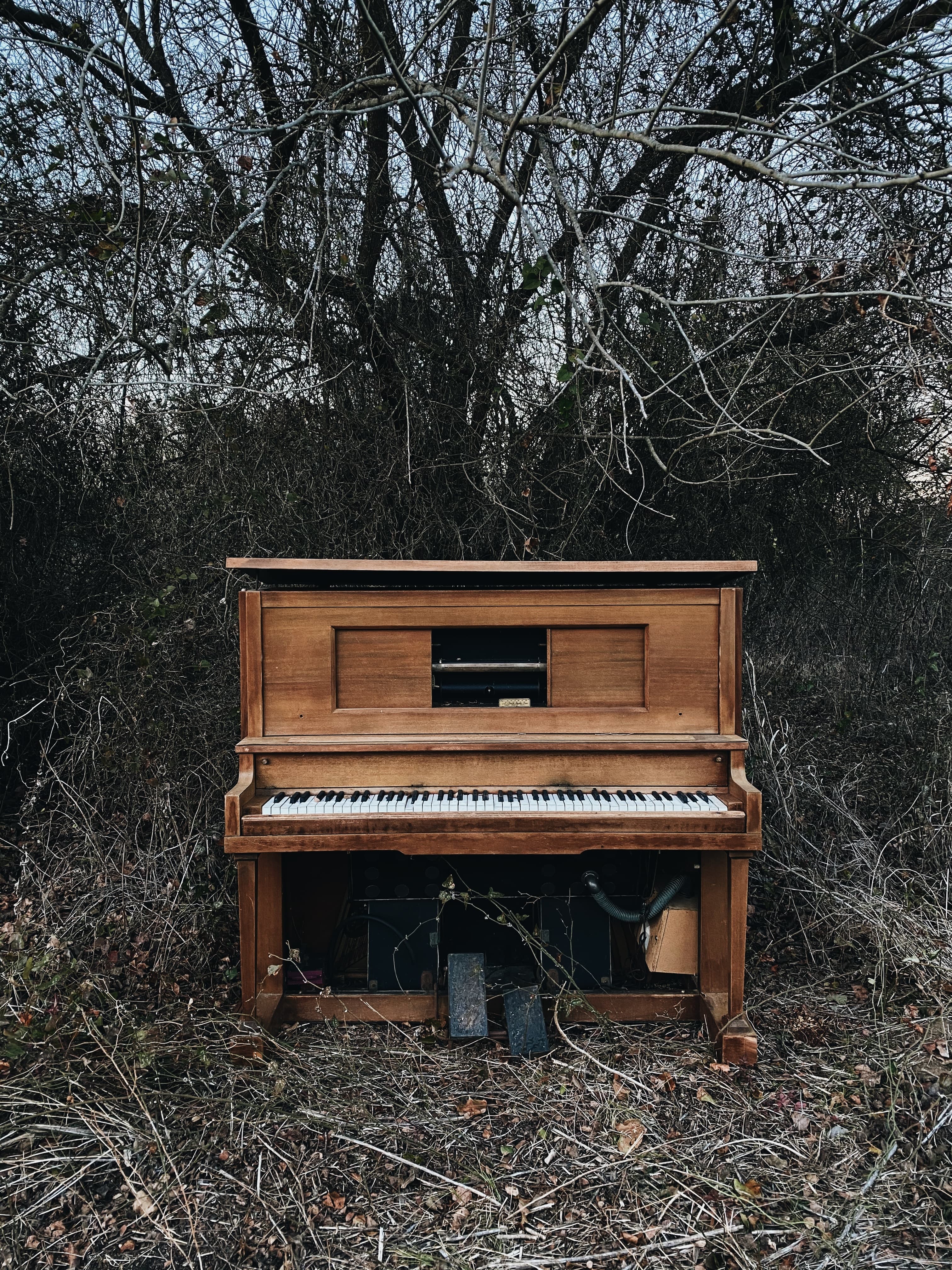 A piano